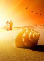 slubne-plener-pionowe